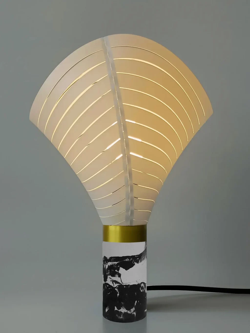 FloMo Venom FloMo Venom